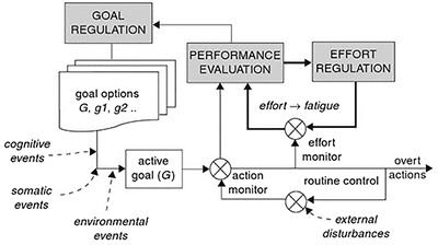 Bridging Exercise Science, Cognitive Psychology, and Medical Practice: Is “Cognitive Fatigue” a Remake of “The Emperor’s New Clothes”?